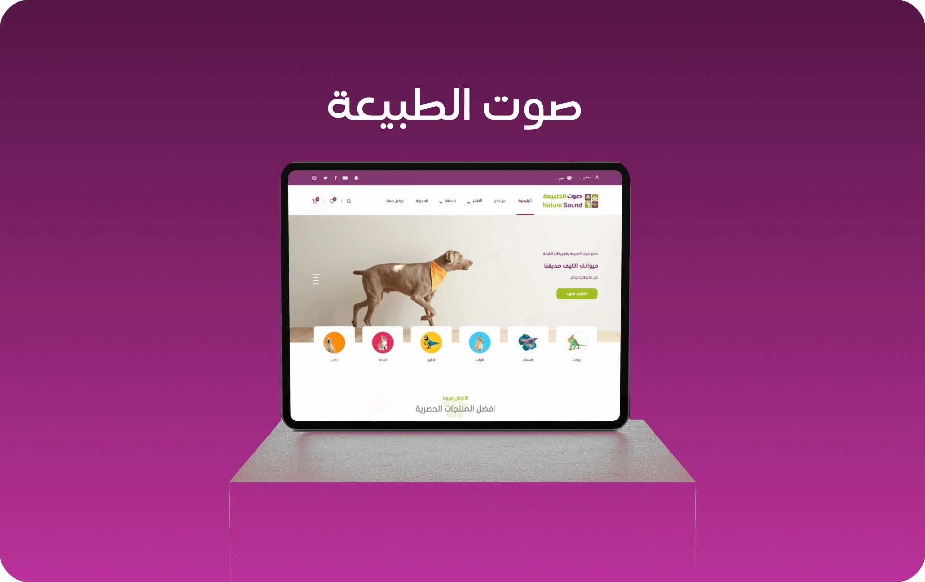 صوت الطبيعة
